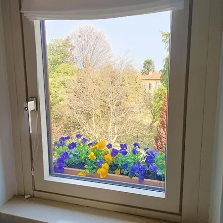 Blue Dream - Wonderful View